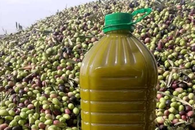 وفرة الإنتاج المحلي والدولي تعيد التوازن.. هل ينخفض سعر زيت الزيتون إلى 50 درهماً؟