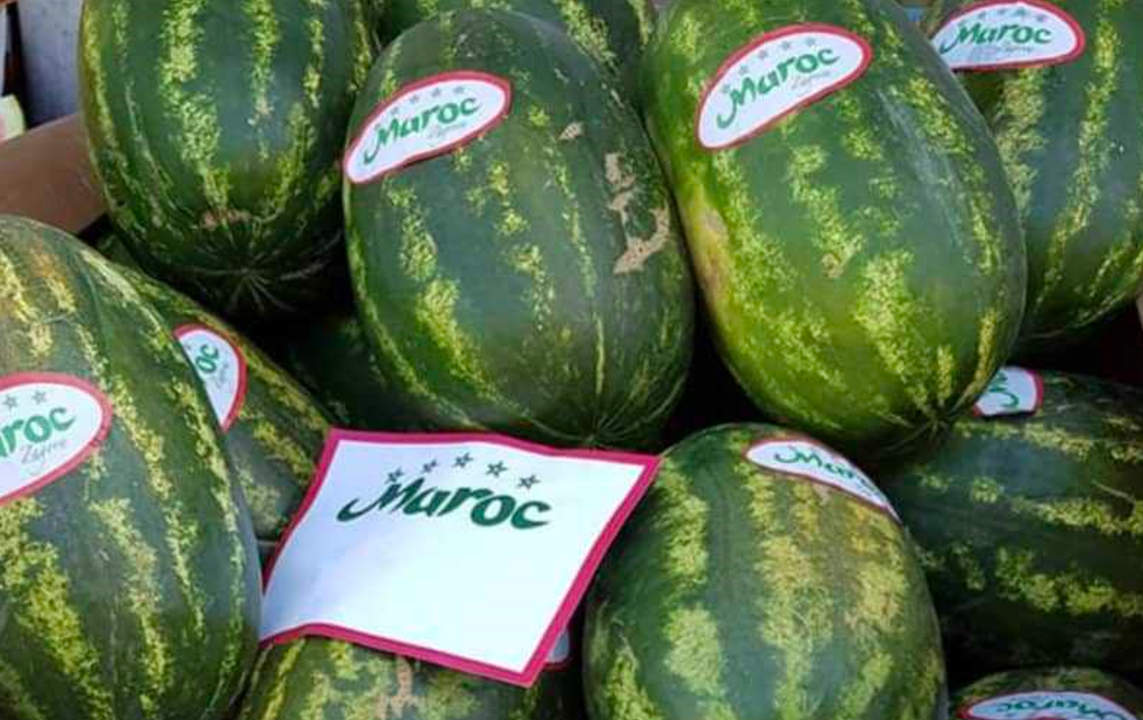 صادرات البطيخ المغربي تتألق.. والمغرب ينتزع المركز الثاني في أوروبا
