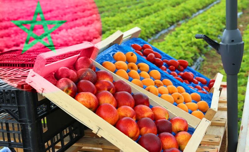 بـ 13 مليون دولار … المغرب الخامس إفريقيا في استثمارات التكنولوجيا الزراعية والغذائية