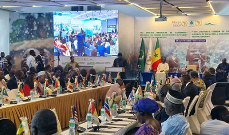 دكار.. افتتاح أشغال الجمعية العامة لمجلس الوزراء الأفارقة المكلفين بالماء بمشاركة المغرب