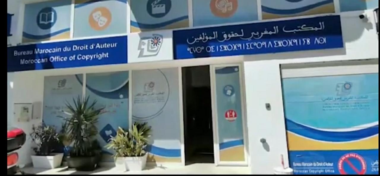 نقابة مهنيي الفنون الدرامية تطعن في مسلسل هيكلة مكتب حقوق التأليف والحقوق المجاورة