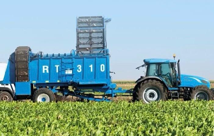 تحسن ملحوظ في الإنتاج الوطني من السكر