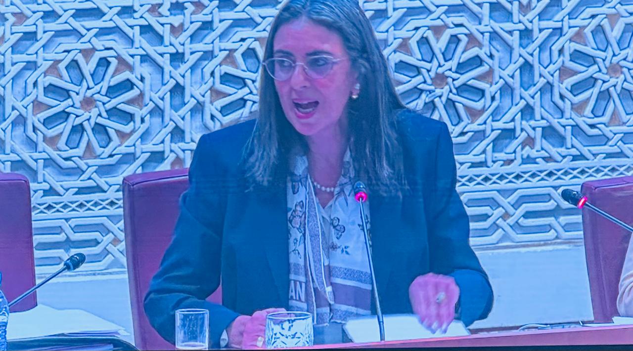 المغرب يتوقع نمواً بـ 4.6 بالمائة في 2026.. فتاح تكشف عن التوقعات الرسمية وأولويات “المغرب الصاعد”