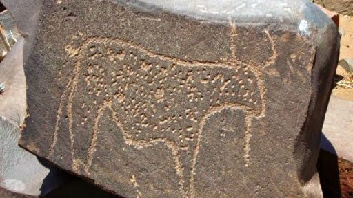 المجلس الوطني لحقوق الإنسان ينفي ادعاءات تخريب موقع للتراث الصخري بكلميم