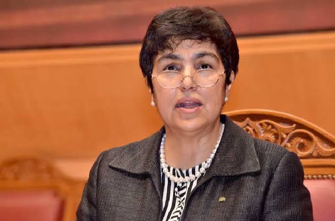 زينب العدوي تكشف.. إحالة 55 ملفًا جنائيًا على رئاسة النيابة العامة للتحقيق في المال العام