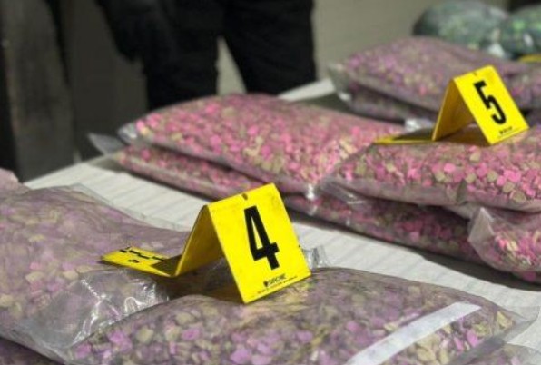 إجهاض عملية تهريب دولية لأزيد من 21 ألف قرص مخدر بميناء طنجة المتوسط