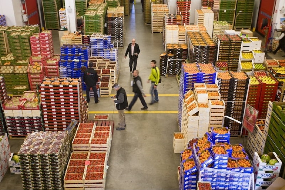 شراكة فلاحية متقدمة.. هذا حجم واردات المغرب من روسيا بالأطنان وهذه قيمتها بملايير الدراهم