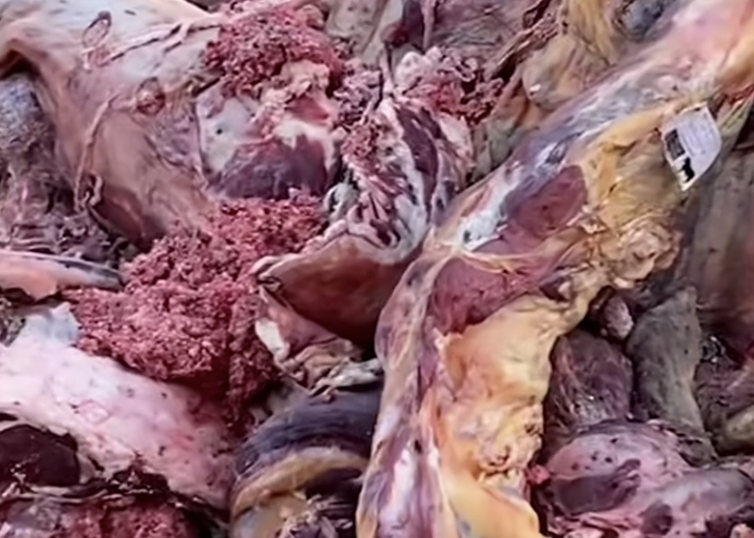 مراكش. «لابيجي» تدخل على خط اللحوم الفاسدة و«ثمن البيع» وراء كشف الفضيحة