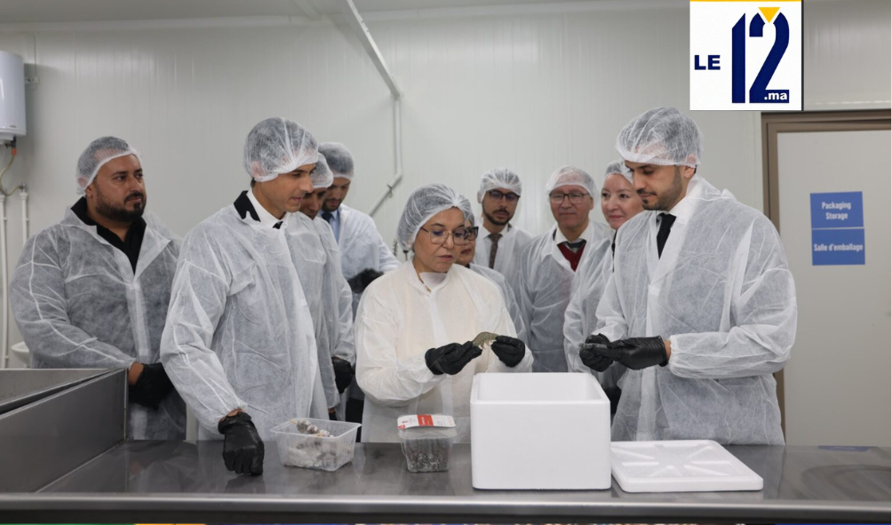 الرؤية الزرقاء في قلب اليابسة.. زكية الدريوش تطلق توسعة مشروع رائد لإنتاج الروبيان بالرحامنة