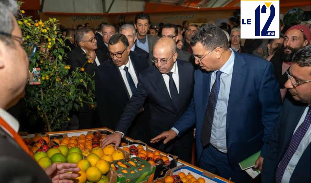 المغرب يطلق “الجيل الأخضر” للحوامض.. عقد برنامج جديد لتعزيز الإنتاج والتصدير حتى 2030