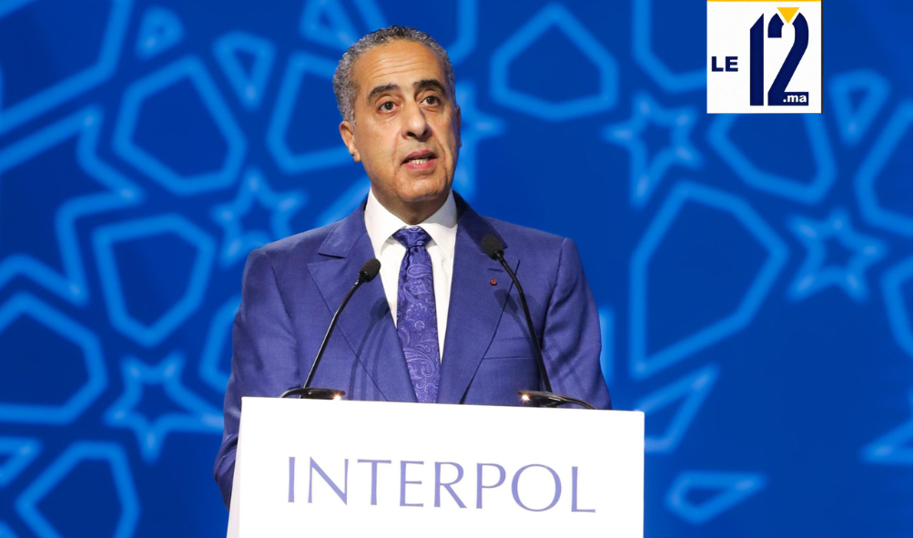 حموشي يعقد 43 اجتماعًا ثنائيًا في “أنتربول مراكش”.. دبلوماسية أمنية مكثفة لتعزيز الشراكات العالمية