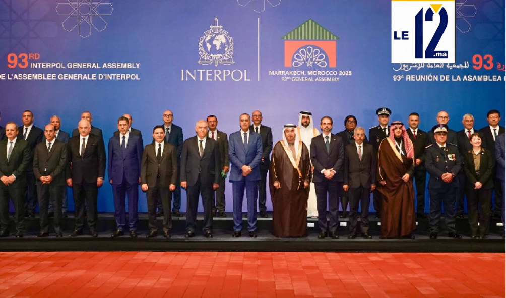 الأنتربول في مراكش يدعو إلى المصادقة على اتفاقية الأمم المتحدة لمكافحة الجريمة السيبرانية