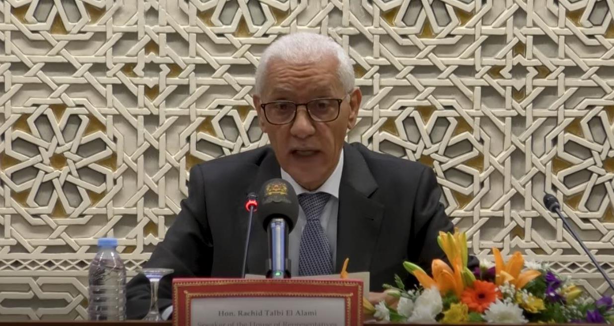 الطالبي العلمي: التنمية الحقيقية رهينة بتعزيز سيادة الدول الإفريقية على مواردها الطبيعية