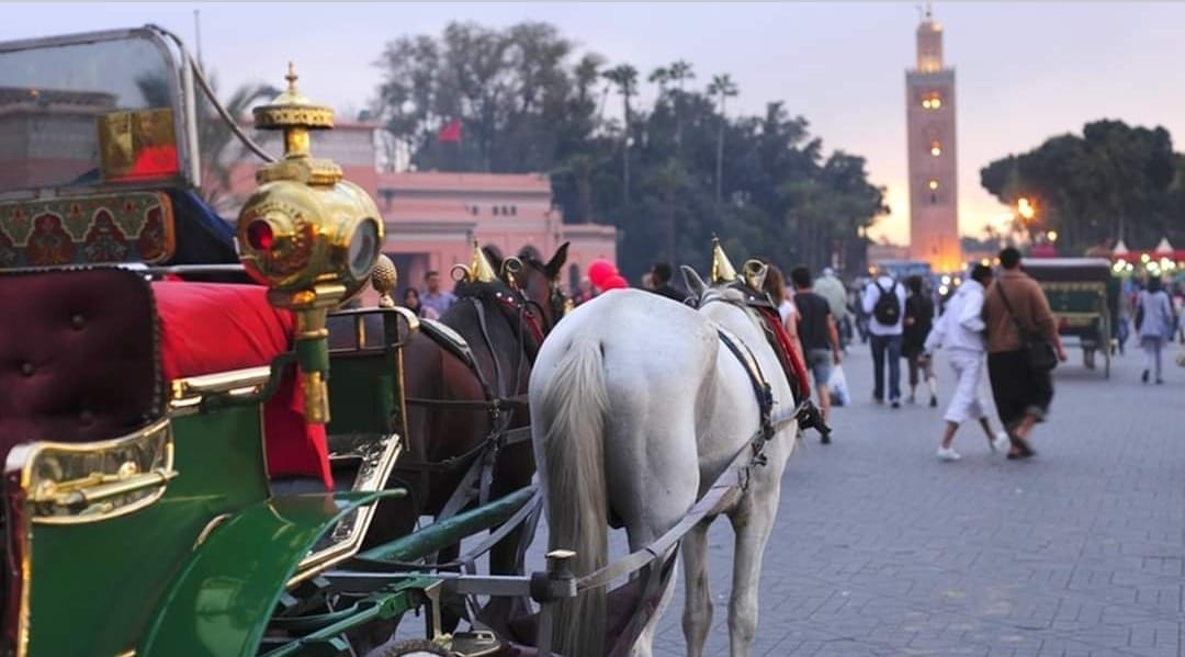 مراكش على وقع انتعاش سياحي لافت.. حجوزات قياسية تملأ المدينة قبل ليلة رأس السنة