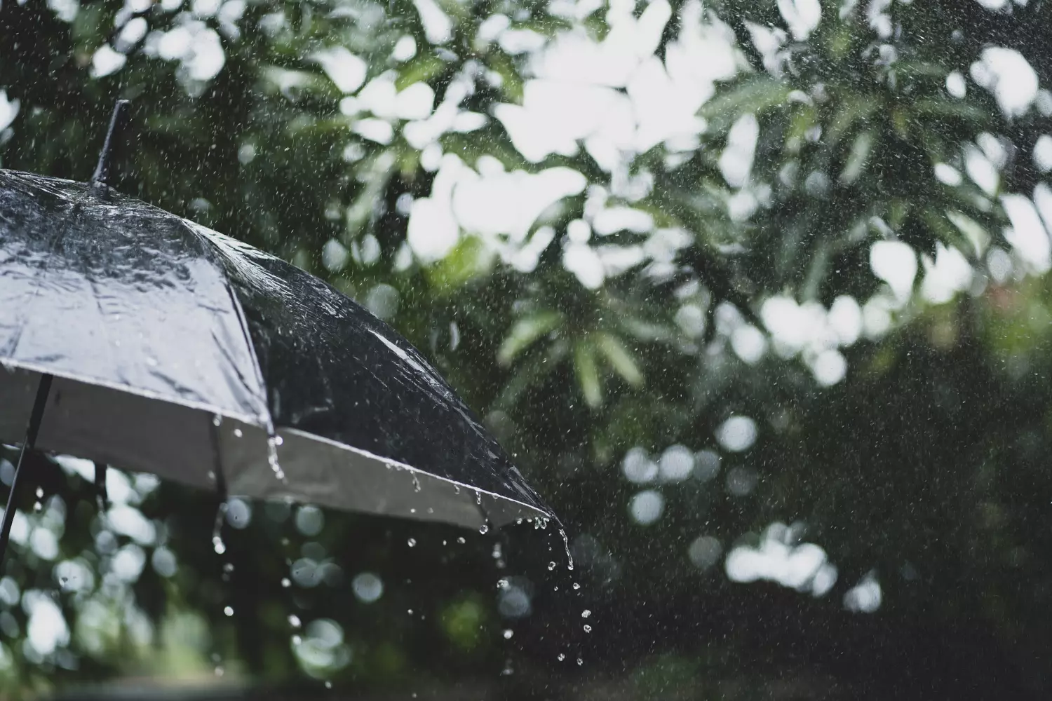 سلا تتصدر مقاييس الامطار المسجلة خلال الـ 24 ساعة الماضية