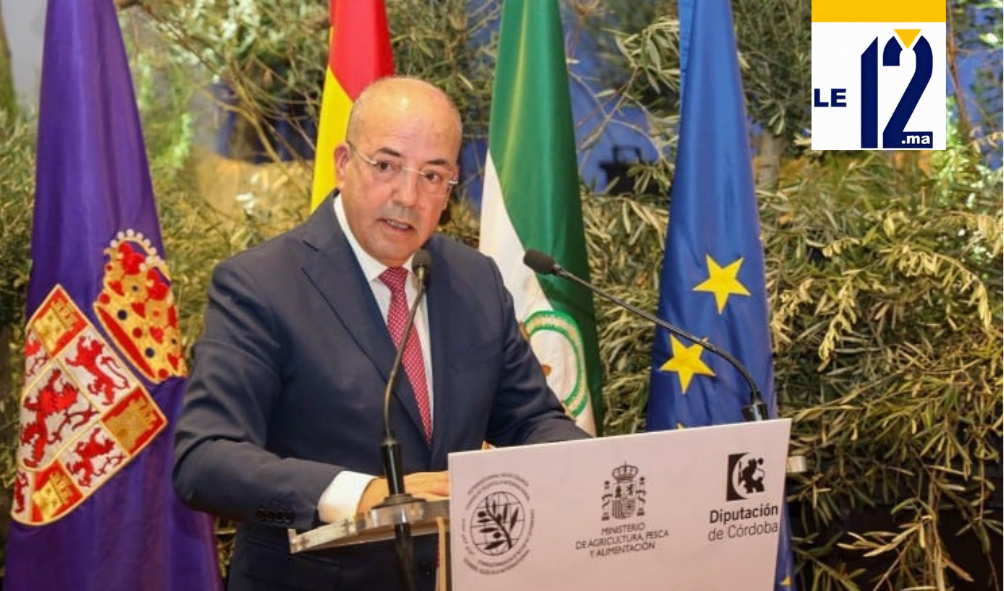 البواري من قرطبة.. سلسلة الزيتون.. ركيزة “الجيل الأخضر” ومساهم أساسي في الأمن الغذائي