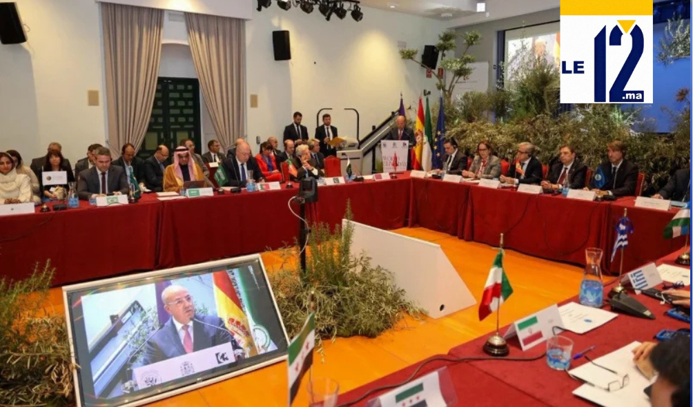 المغرب يقود قطاع الزيتون العالمي.. رئاسة المجلس الدولي للزيتون لعام 2026