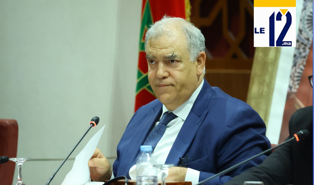 تجدد الجدل حول “الأخبار الزائفة” والانتخابات.. وزير الداخلية يرد على اتهامات “تكميم الأفواه”