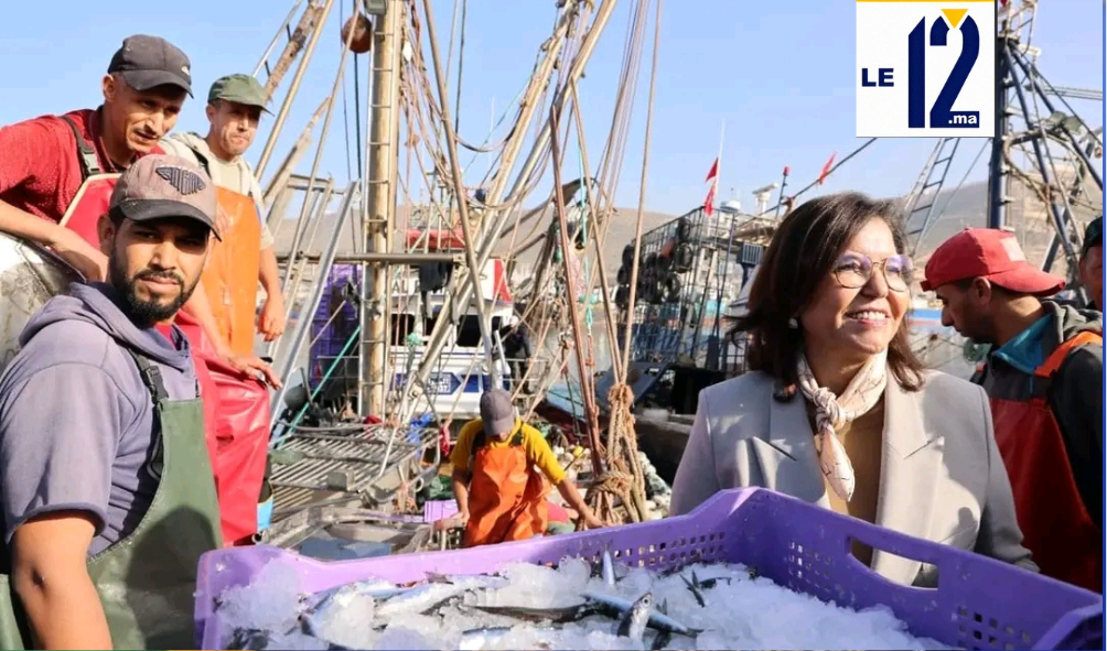 جهود قطاع الصيد البحري.. الدريوش تتفقد وحدات صناعية وأوراشاً لبناء السفن في أكادير (فيديو)