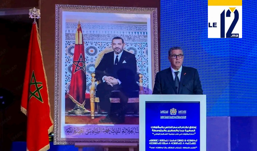 ثورة في دعم الاقتصاد.. شاهد أخنوش يكشف تفاصيل النظام الجديد لدعم المقاولات الصغيرة والمتوسطة