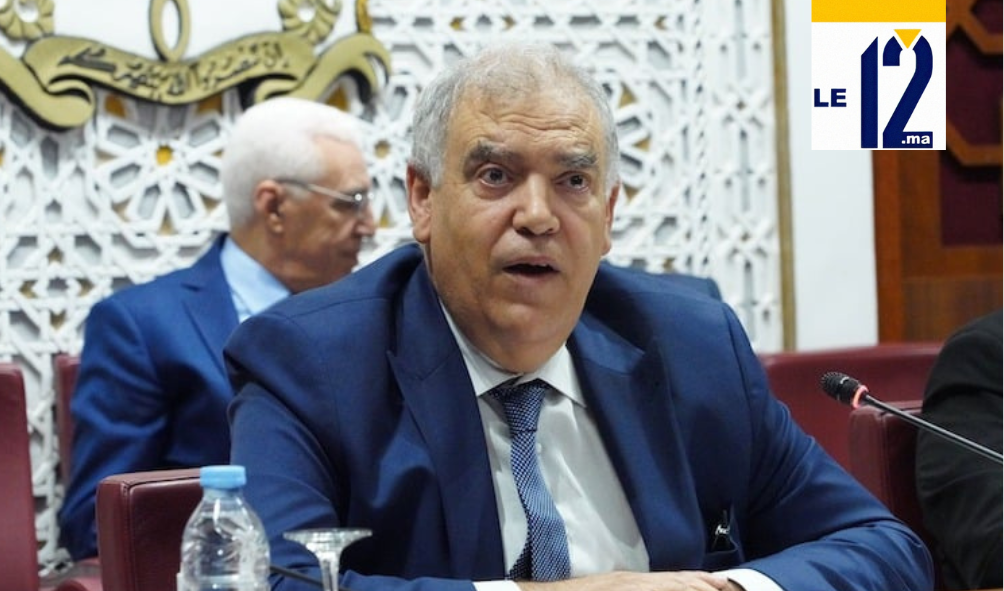 لفتيت يكشف تفاصيل مشروع قانون الأحزاب.. رفع شروط التأسيس وتعزيز مشاركة الشباب والنساء