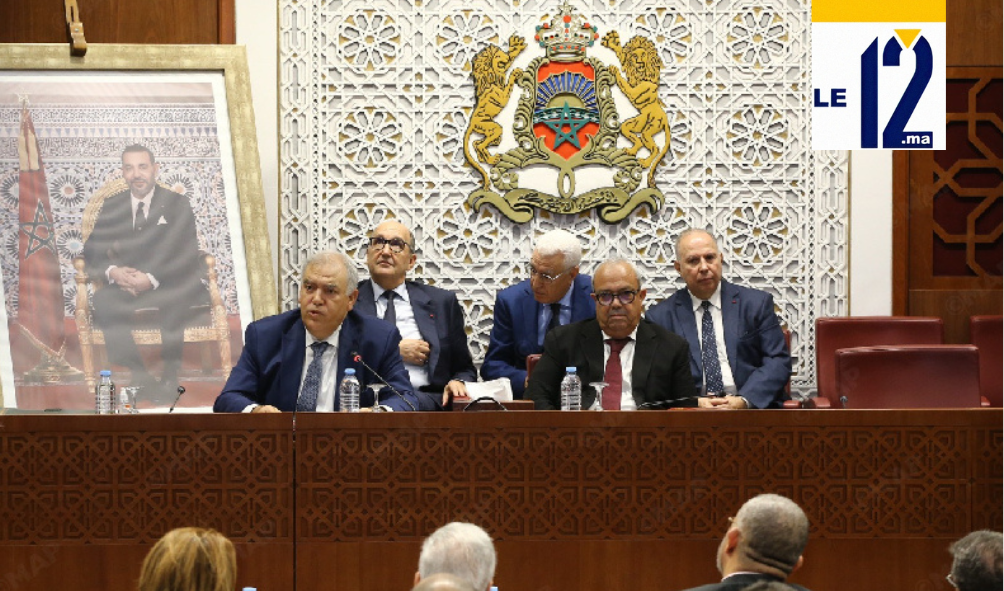 لفتيت يكشف تفاصيل مشروع قانون “تخليق” الانتخابات البرلمانية وتجريم استخدام الذكاء الاصطناعي