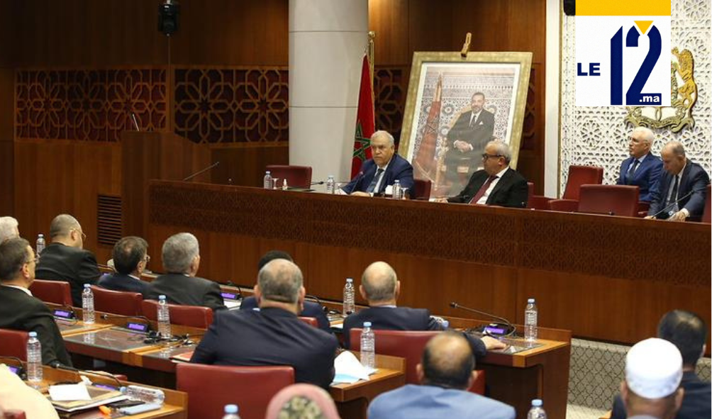 لفتيت يقدم تعديلات على القانون الانتخابي.. التسجيل عبر الإنترنت ومواجهة صارمة لاستطلاعات الرأي