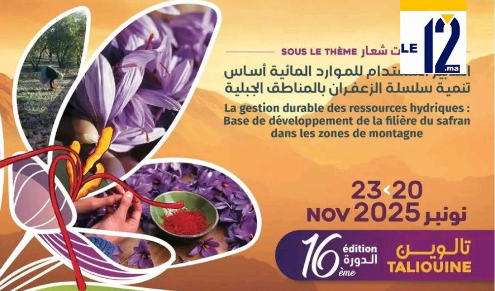 تالوين قبلة “الذهب الأحمر”.. انطلاق فعاليات الدورة الـ16 للمهرجان الدولي للزعفران