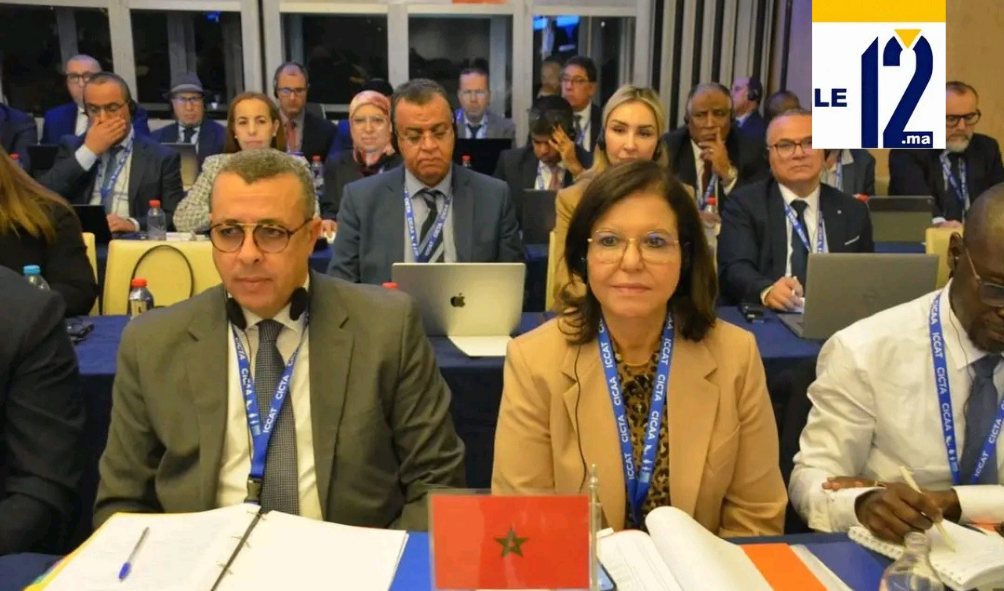 المغرب في “ICCAT”.. الدريوش تدعو لتوزيع عادل لحصص التونة الحمراء وتشدد على الحقوق التاريخية