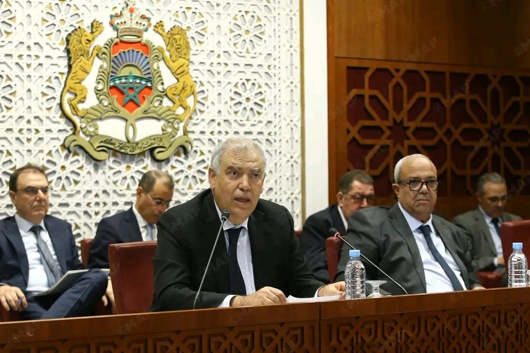 وزير الداخلية.. حل 91 في المائة من القضايا الجنائية وإحالة 500 ألف شخص على العدالة في 8 أشهر