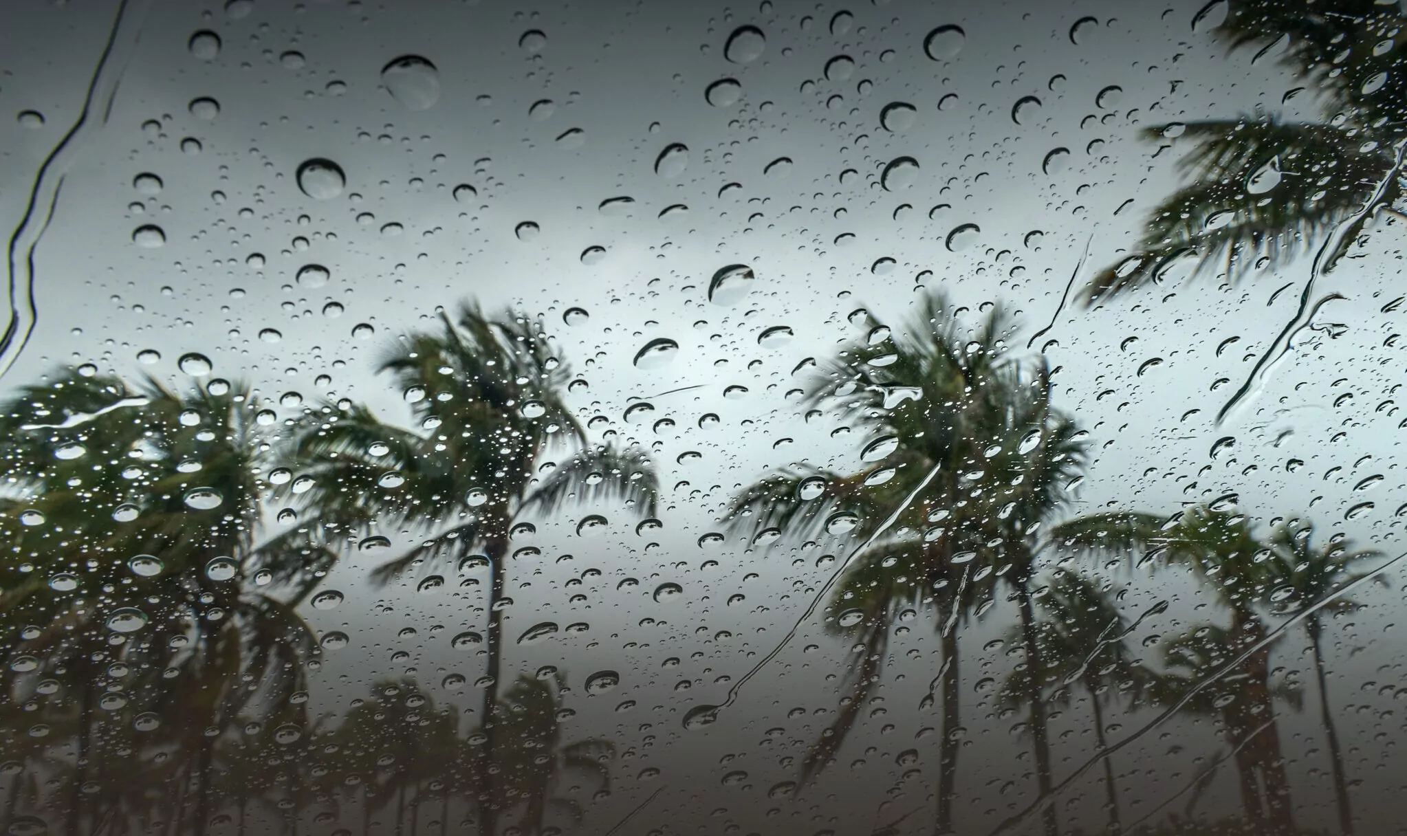 سحب كثيفة مصحوبة بأمطار .. مديرية الأرصاد تكشف عن تفاصيل طقس الخميس