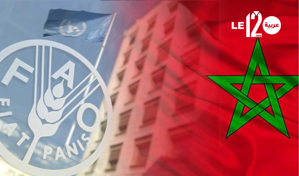 إعادة انتخاب المغرب عضوا في مجلس إدارة برنامج الغذاء العالمي