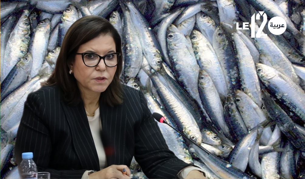 المغرب ملك السردين العالمي.. تقرير برازيلي يؤكد هيمنة المملكة على سوق المعلبات