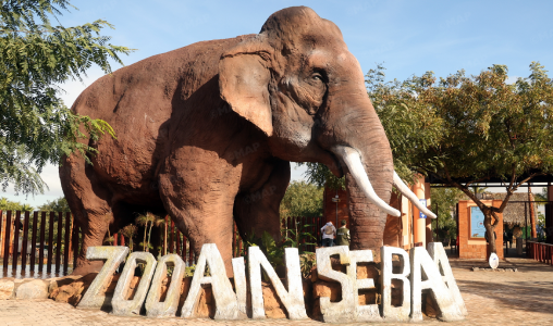 بعد سنوات من الانتظار.. افتتاح حديقة الحيوانات عين السبع في حلتها الجديدة 