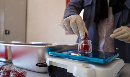 تنغير.. دينامية قوية للمبادرة الوطنية للتنمية البشرية دعما للاقتصاد الاجتماعي والتضامني