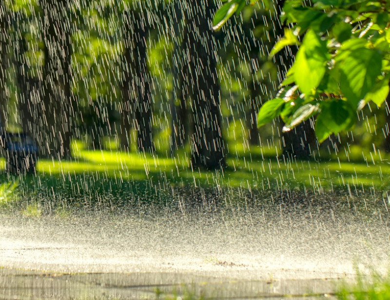 زخات رعدية وأجواء غائمة مع نزول أمطار مرتقبة بعدد من المناطق 