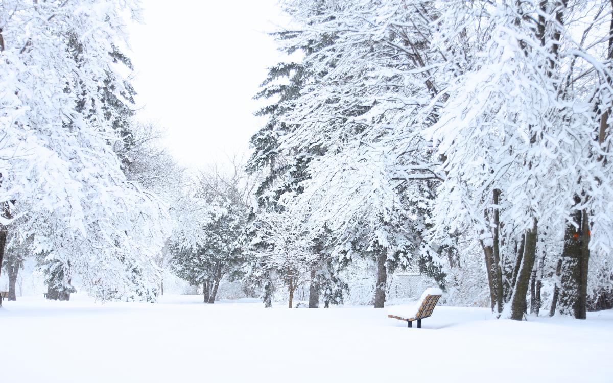 إفران تواصل تسجيل درجات حرارة منخفضة قياسية