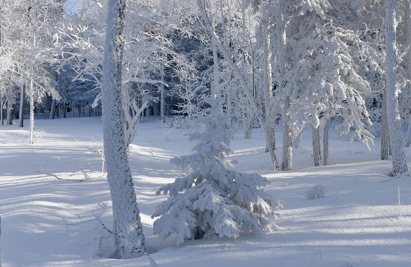 نشرة برتقالية.. تساقطات ثلجية ورياح قوية تضرب عدة مناطق غدا الأربعاء