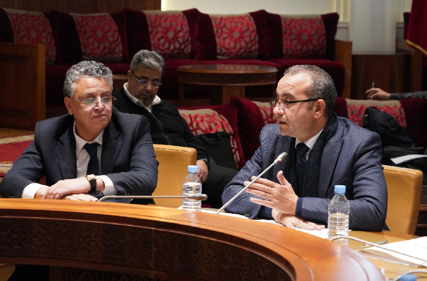 وهبي والنواب.. مواجهة جديدة حول المسطرة المدنية تحت مجهر المحكمة الدستورية 