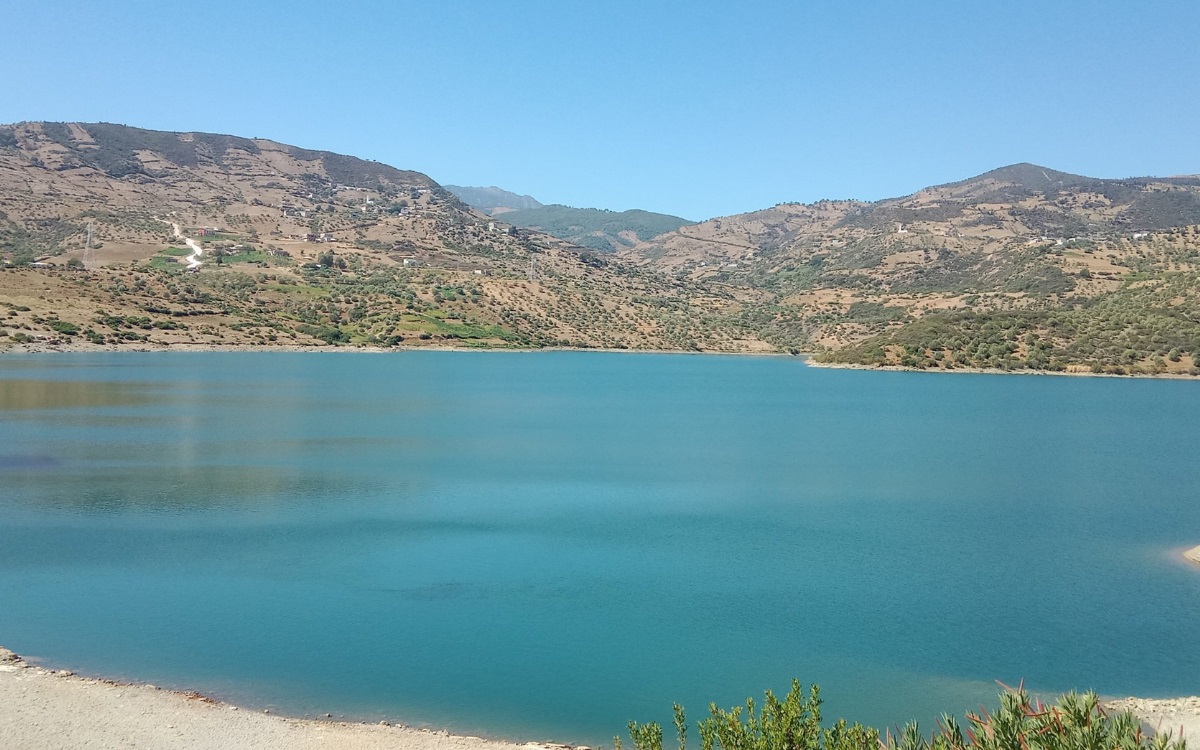 مياه الأمطار الأخيرة لم تهدر في البحر.. والنصيب الأكبر استوعبته الأحواض المائية 