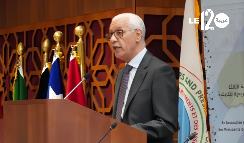 الطالبي العلمي.. إفريقيا مدعوة للانتقال من منطق تدبير الأزمات إلى تسويتها والوقاية منها