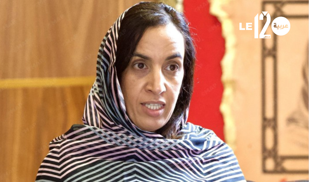 بوعيدة.. الجهات منخرطة بقوة في الرؤية الملكية للجيل الجديد من برامج التنمية المندمجة