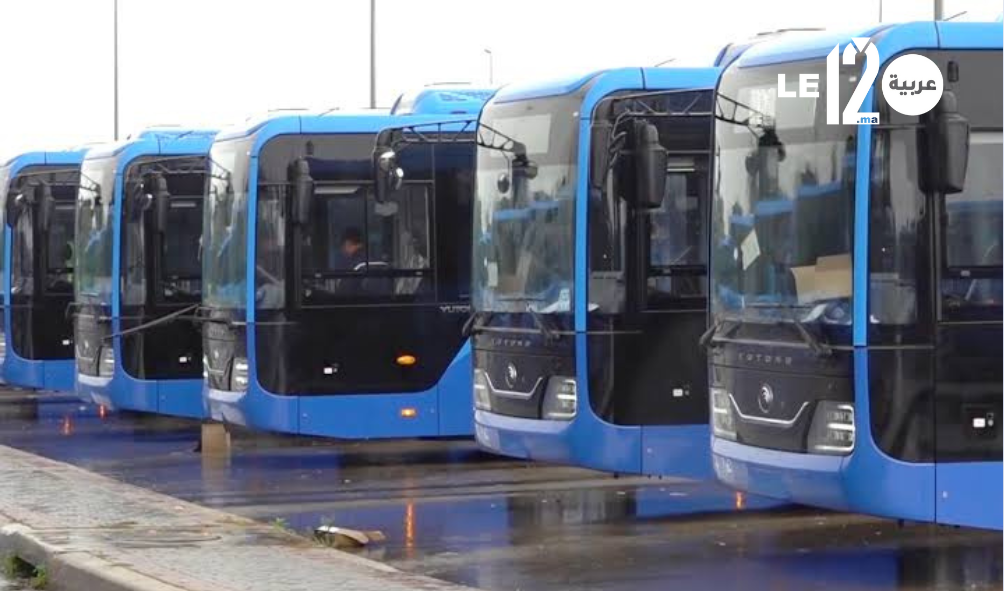 طنجة تدشن عهداً جديداً للنقل الحضري.. أسطول حديث بتقنيات عالمية لخدمة البوغاز 