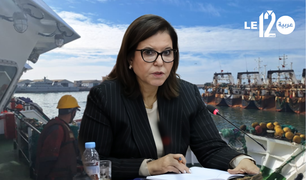 انتعاش في المخزون وزيادة في الحصص.. انطلاق موسم صيد الأخطبوط الشتوي بالمغرب لعام 2026 