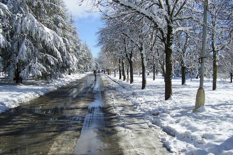 نشرة إنذارية .. تساقطات ثلجية وأمطار قوية أحيانا رعدية مرتقبة بعدد من مناطق المملكة