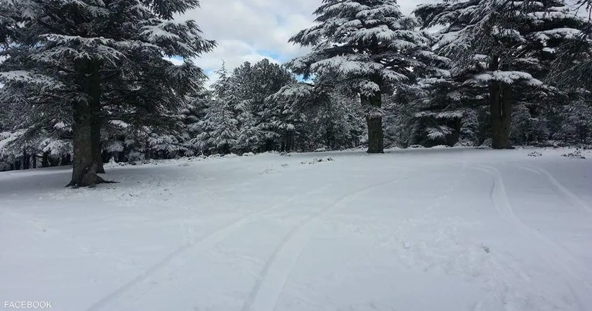نشرة إنذارية: تساقطات ثلجية وأمطار رعدية قوية بعدد من المناطق