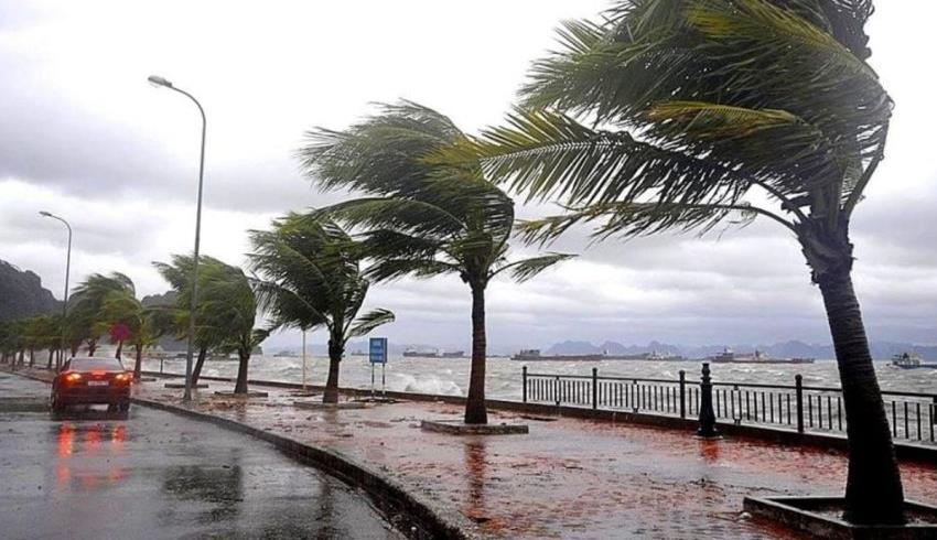 نشرة إنذارية.. زخات رعدية قوية ورياح وتساقطات ثلجية بعدد من مناطق المملكة