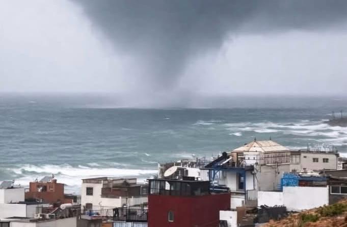 ظهور شاهقة مائية قبالة سواحل تغازوت ما القصة؟..