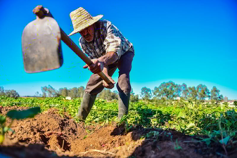 أزيلال تودع الجفاف.. الأمطار تعيد الحياة للمراعي وترفع سقف التوقعات الفلاحية