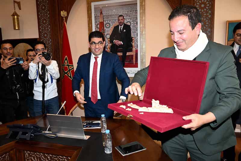 الدار البيضاء.. اكتشاف بقايا بشرية تعود لـ 700 ألف سنة تعيد رسم خريطة التطور البشري